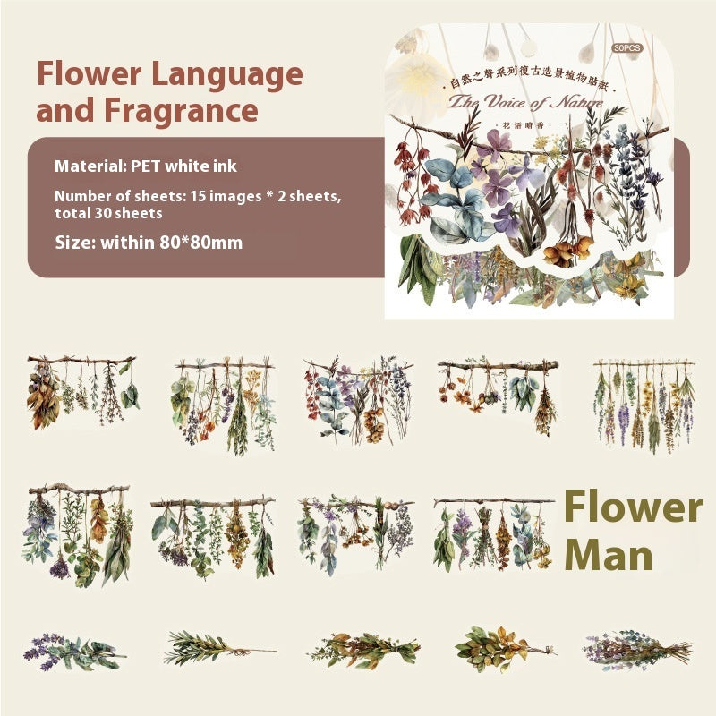 Paper Trace PET Sticker The Sounds Of Nature Series