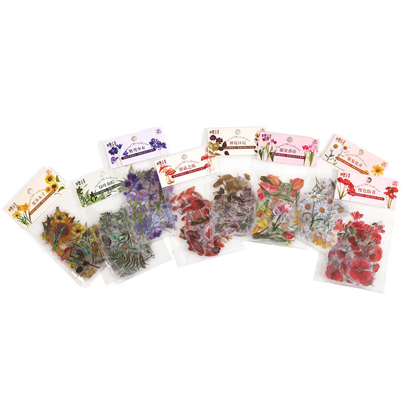 Nature Series Retro Plant Handbook DIY Decorative Sticker