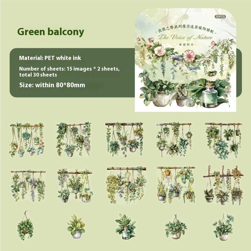 Paper Trace PET Sticker The Sounds Of Nature Series