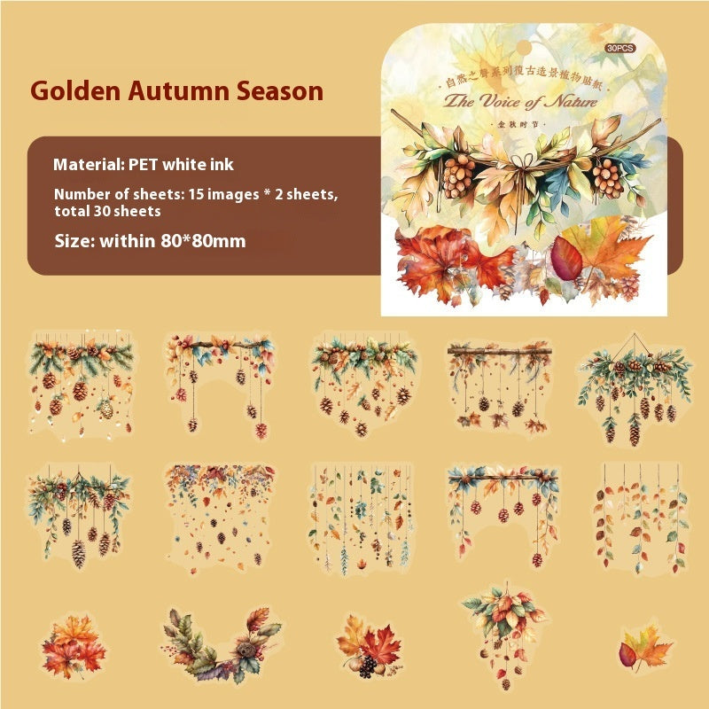 Paper Trace PET Sticker The Sounds Of Nature Series