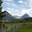 naturepluscandles.com favicon